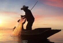 The Mexican Fisherman Mexican Fisherman