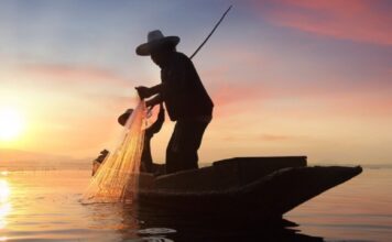 The Mexican Fisherman Mexican Fisherman