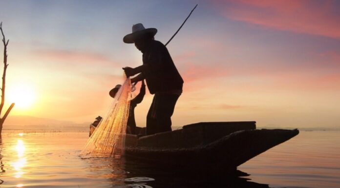 The Mexican Fisherman Mexican Fisherman