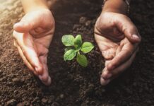 The Arc of Justice Resilience