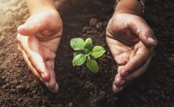 The Arc of Justice Resilience