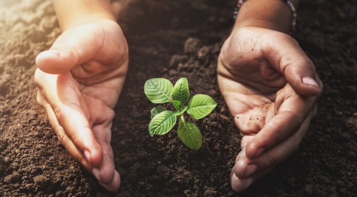 The Arc of Justice Resilience